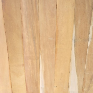 WhatsApp_Image_2025-07-12_at_08.45.14-removebg-preview